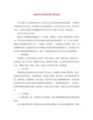 2020年公司审计师工作计划