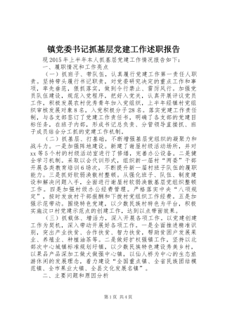 镇党委书记抓基层党建工作述职报告 (13)