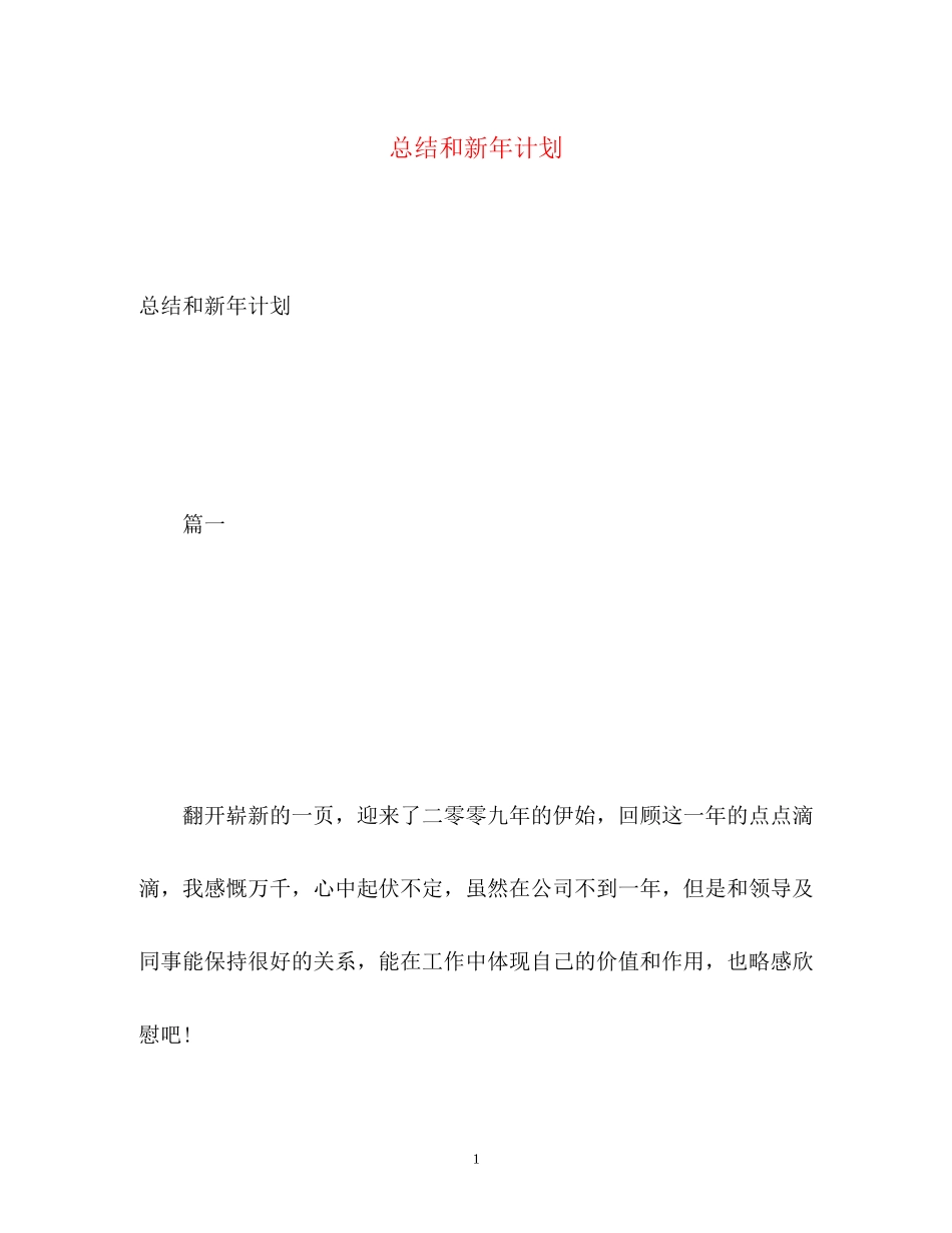 总结和新年计划_第1页