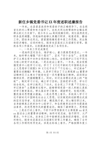 新任乡镇党委书记XX年度述职述廉报告