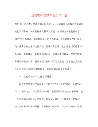 县煤炭局年度工作计划