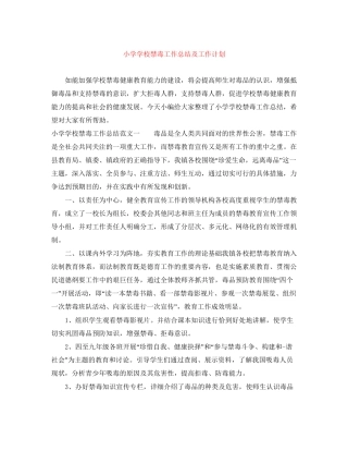 小学学校禁毒工作总结及工作计划