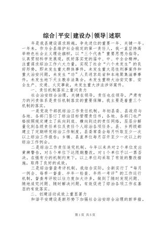 综合-平安-建设办-领导-述职