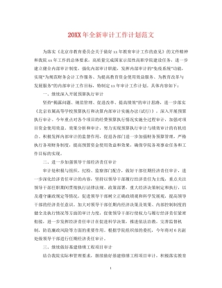 全新审计工作计划范文