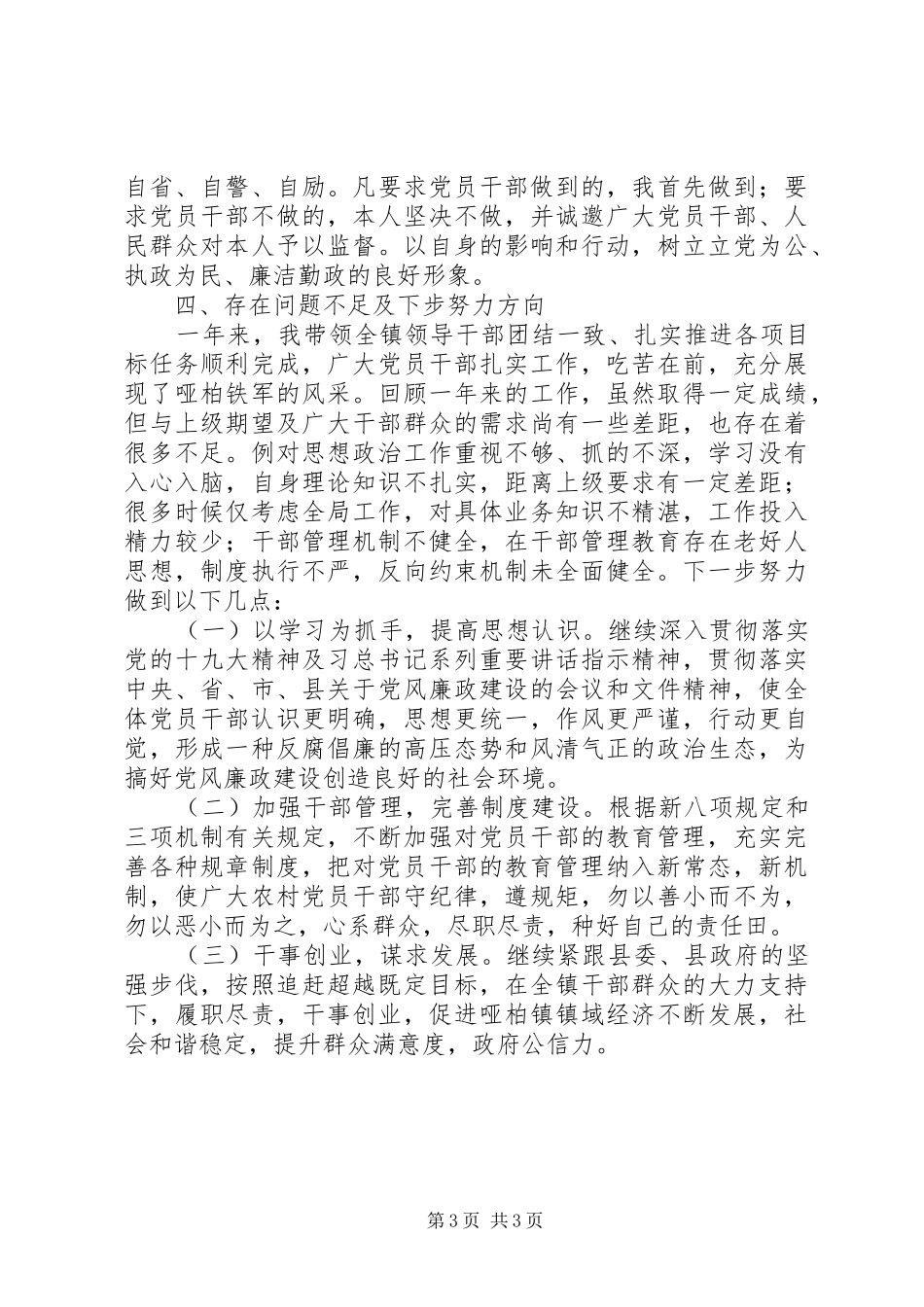 镇党委书记XX年个人述职述责述廉报告_第3页