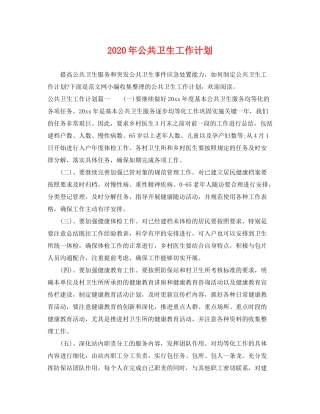 2020年公共卫生工作计划2