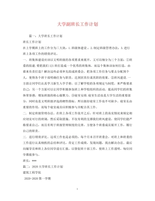 大学副班长工作计划