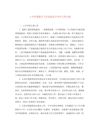 上半年菜篮子工作总结及下半年工作计划