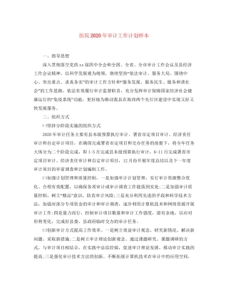 医院年审计工作计划样本