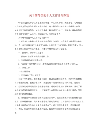 关于辅导员的个人工作计划5篇