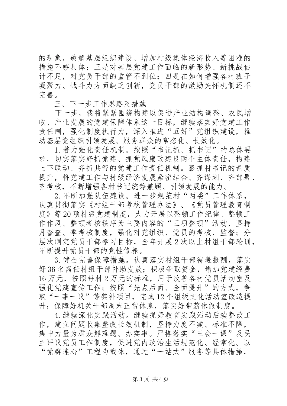 镇党委书记述职述廉报告 (29)_第3页