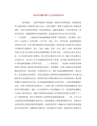 2020年乡镇干部个人工作计划800字