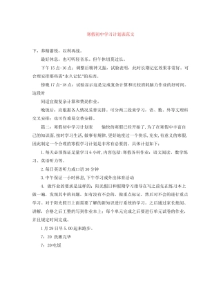 寒假初习计划表范文