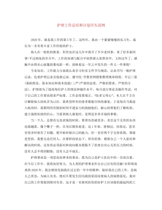 护理工作总结和计划开头范例