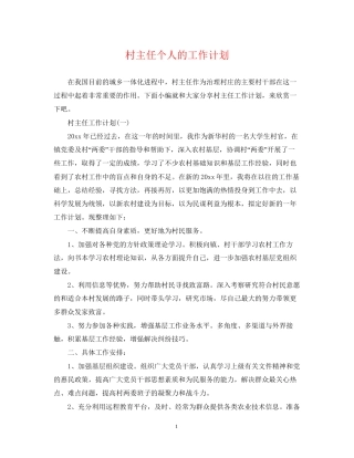 村主任个人的工作计划