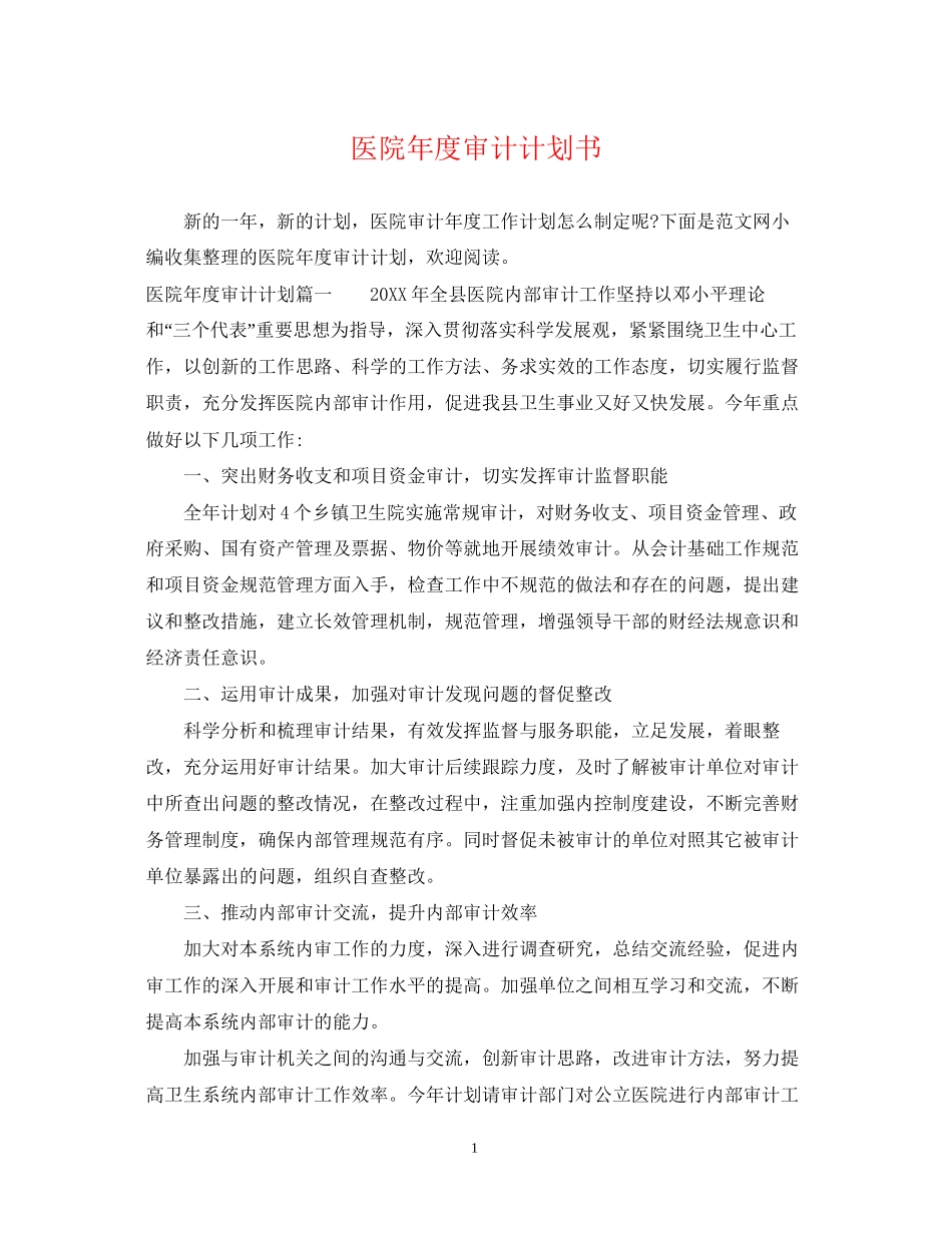 医院年度审计计划书_第1页