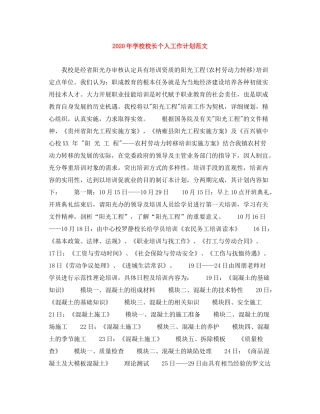 2020年学校校长个人工作计划范文