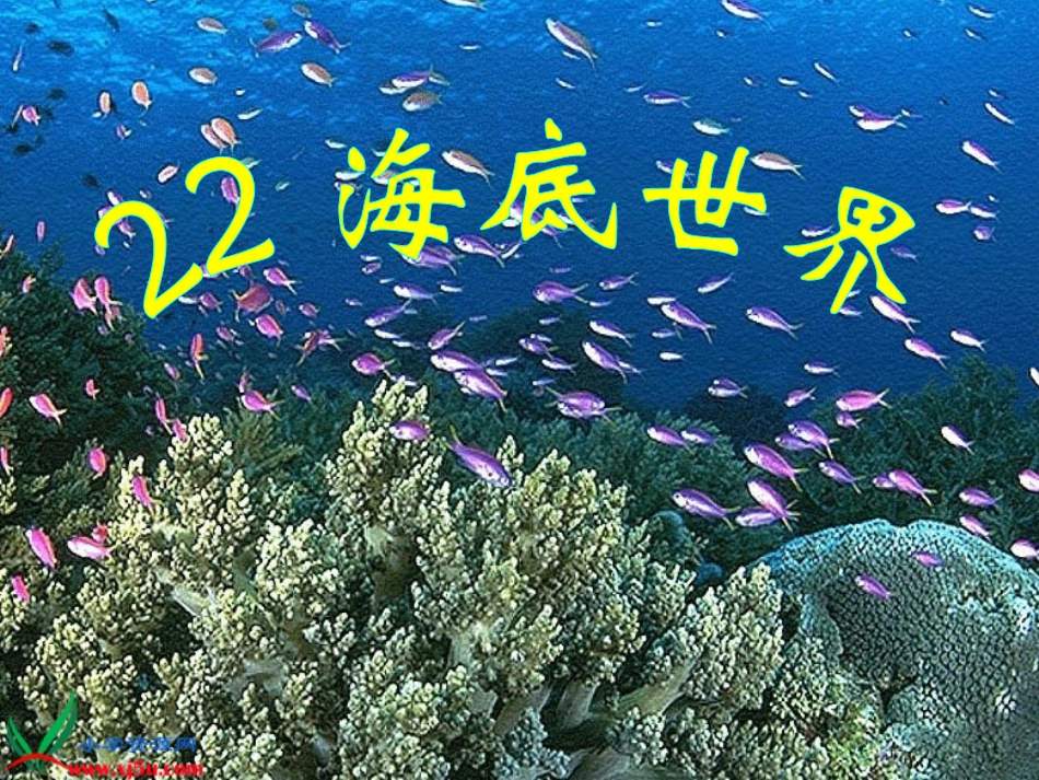 海底世界第一课时_第1页