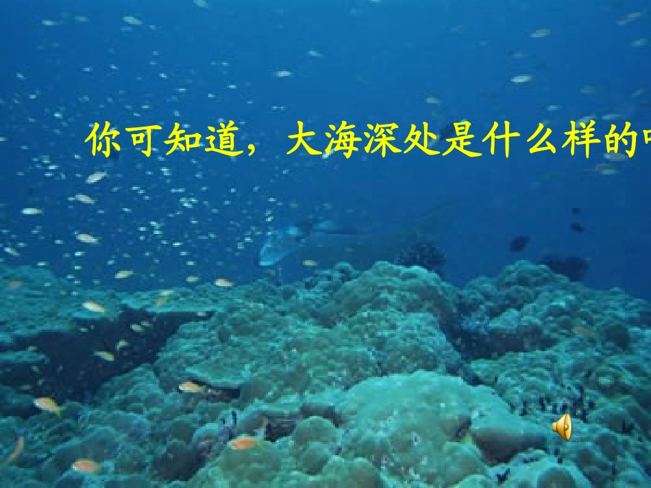 海底世界第一课时_第2页