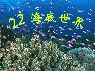 海底世界第一课时