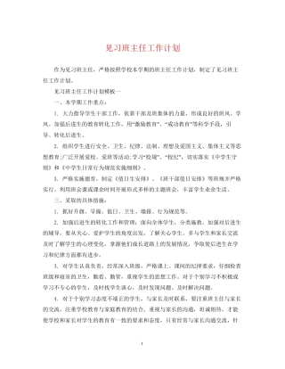 见习班主任工作计划2