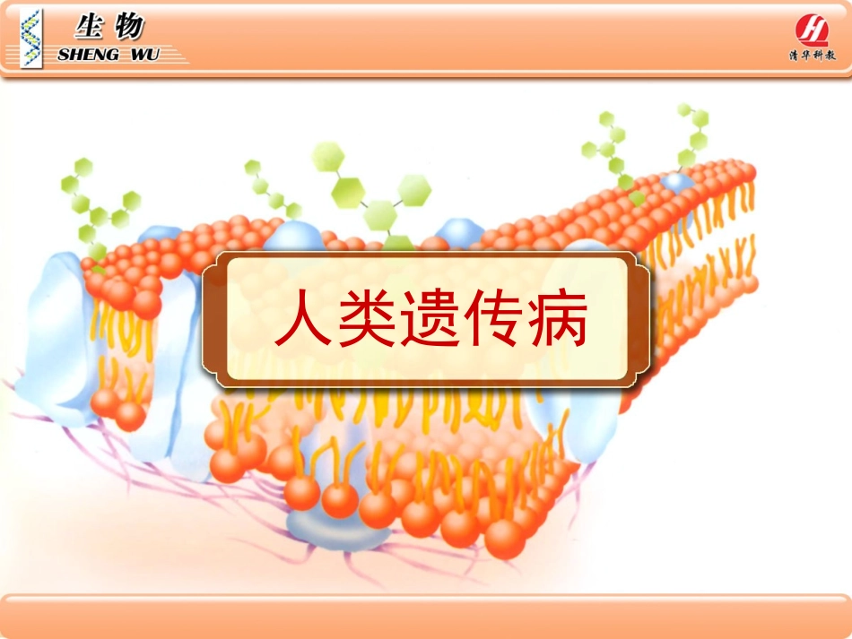 生物②必修53《人类遗传病》PPT课件_第1页