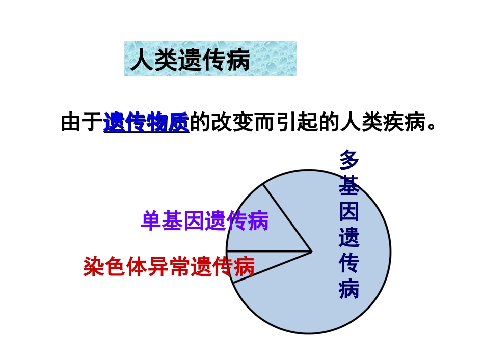 生物②必修53《人类遗传病》PPT课件_第2页