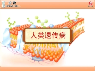 生物②必修53《人类遗传病》PPT课件