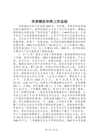 市供销社年终工作总结 
