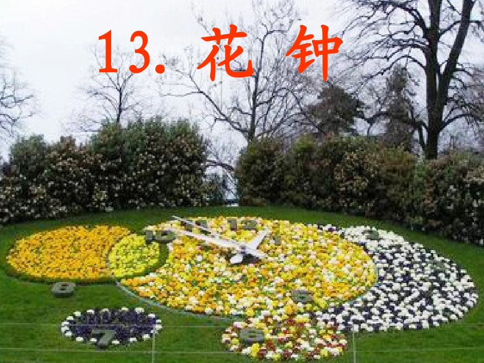 三年级语文上册第四组13花钟第二课时课件_第1页