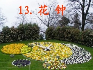 三年级语文上册第四组13花钟第二课时课件