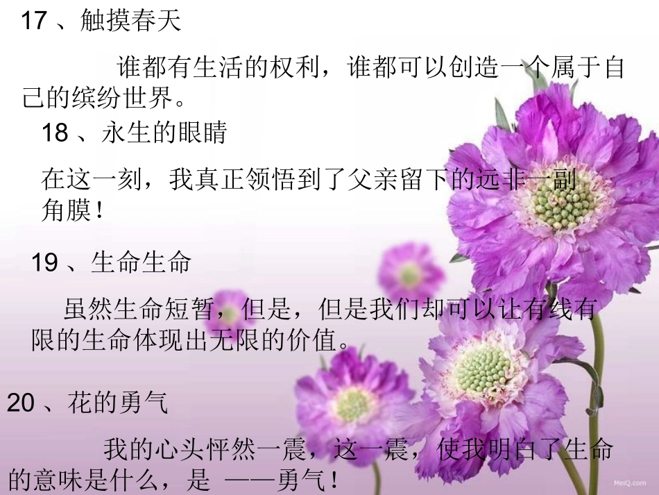 四年级下册第五单元作文《珍爱生命》_第2页