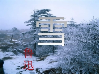 《雪》四人谈