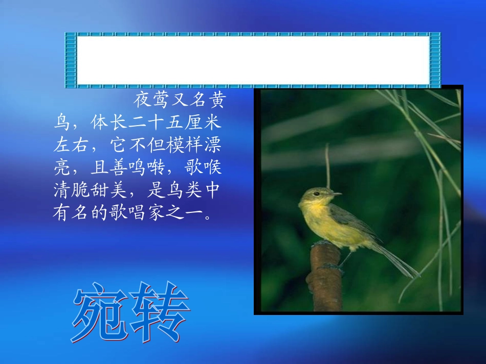 第13课夜莺的歌声课件_第3页