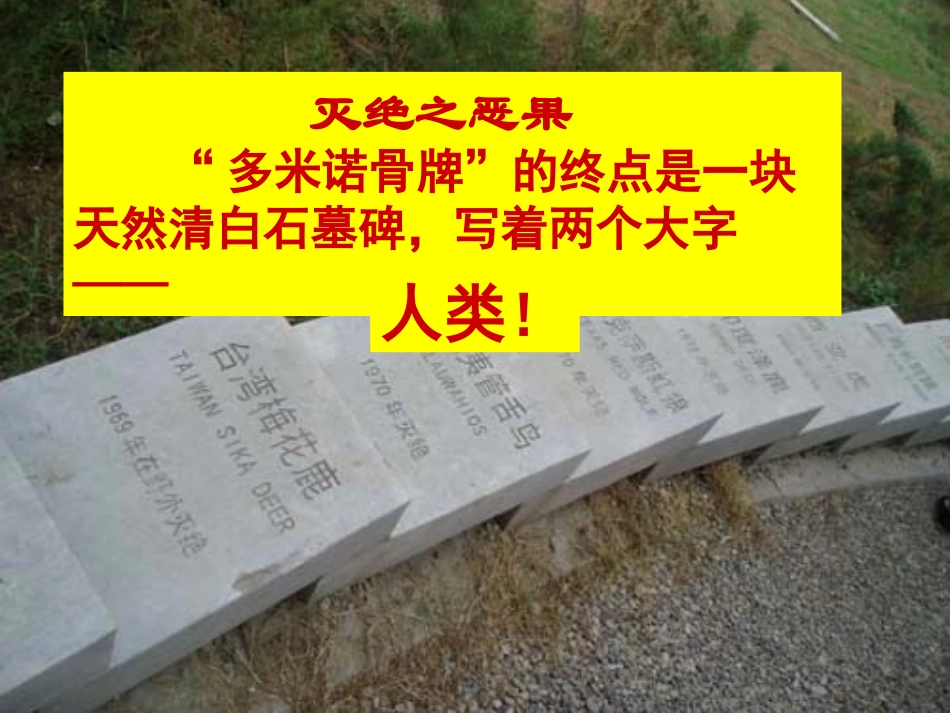 第三节可持续发展的基本内涵_第2页