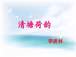 8清塘荷韵-(2)