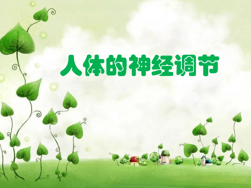 第1节人体的神经调节_第2页