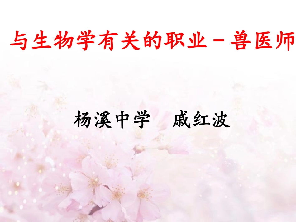 与生物学有关的职业-兽医师_第1页