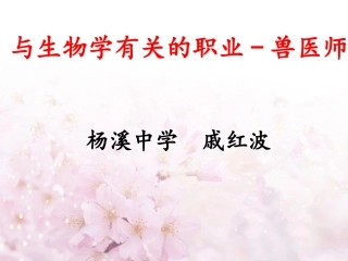 与生物学有关的职业-兽医师