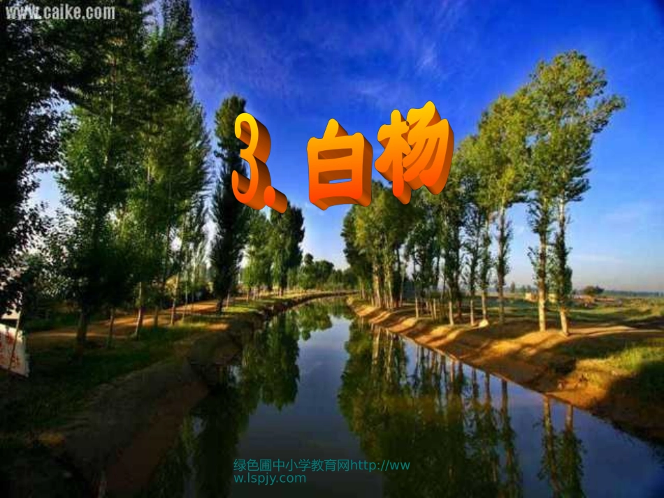 人教版五年级语文下册《白杨》课件PPT_第1页