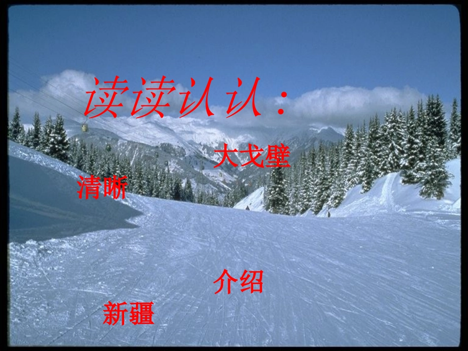 人教版五年级语文下册《白杨》课件PPT_第2页