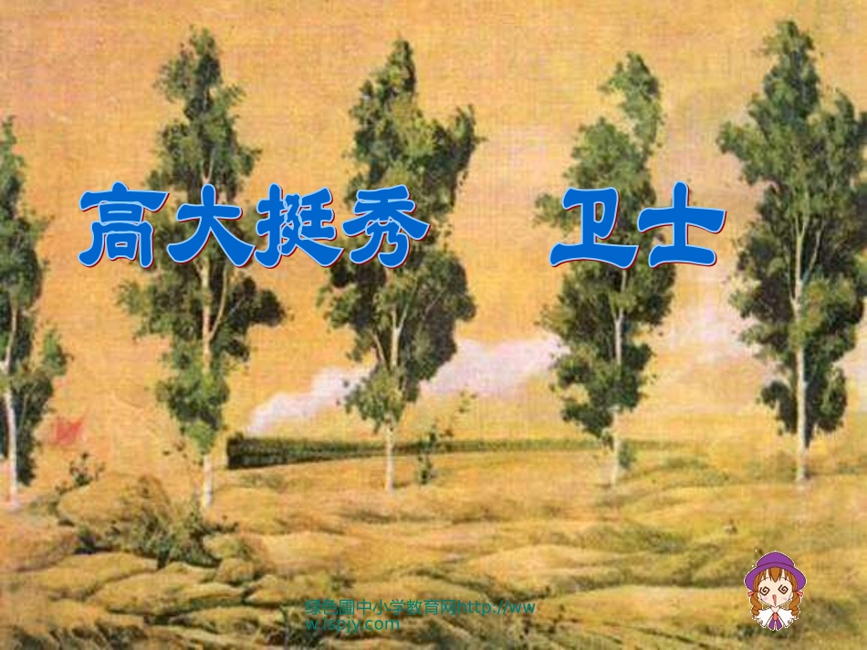 人教版五年级语文下册《白杨》课件PPT_第3页