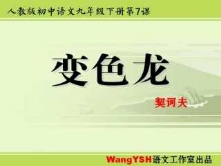 变色龙ppt课件
