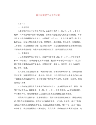 国土局党建个人工作计划