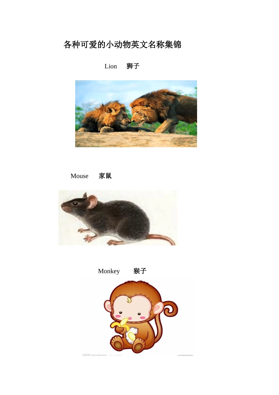 小动物的英文名称集锦_第1页