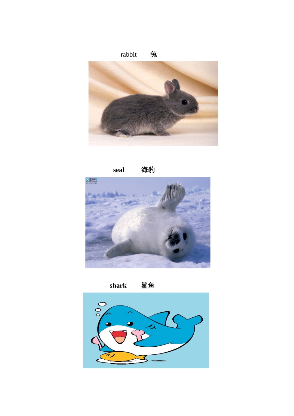 小动物的英文名称集锦_第3页