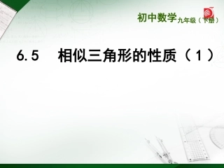 6.5相似三角形的性质