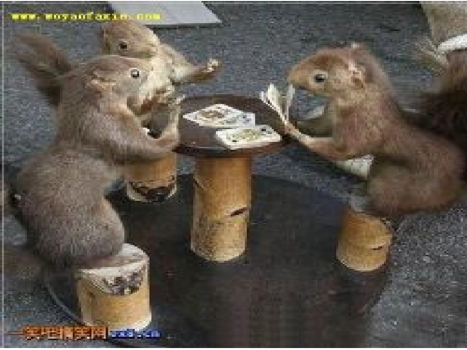 沪科版七年级-用字母表示数(PPT课件)-曹志好原创_第2页