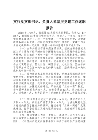 支行党支部书记、负责人抓基层党建工作述职报告