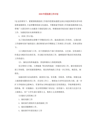 2020年团县委工作计划